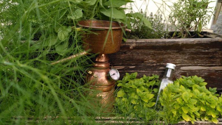 Kleine Kupferdestille in Kräuterbeet