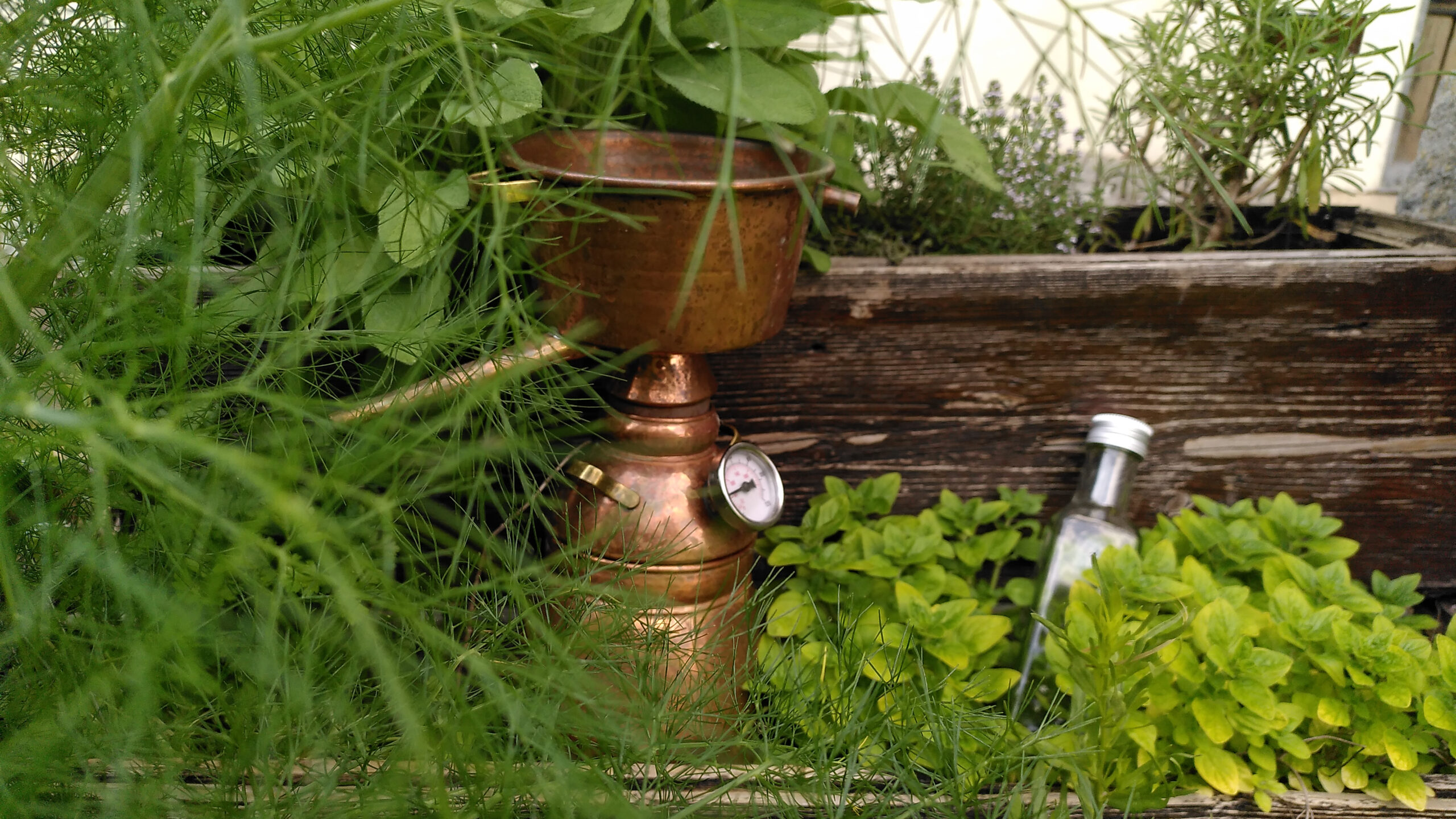 Kleine Kupferdestille in Kräuterbeet