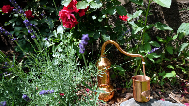 Destille zwischen Rosen und Lavenldel