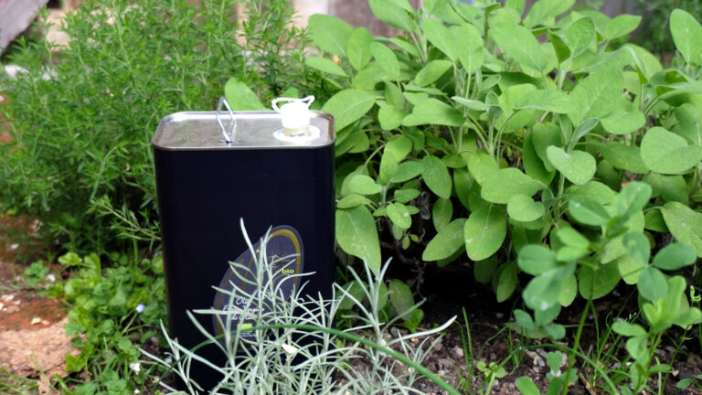 Ölkanister in Kräuterbeet